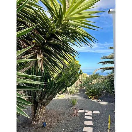 Appartement Infinity Exclusive *