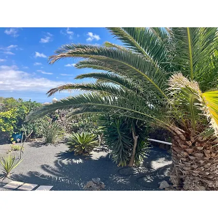 Infinity Exclusive * Tías