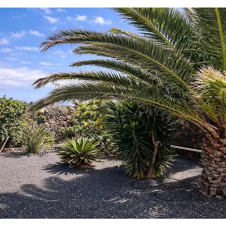 Infinity Exclusive *