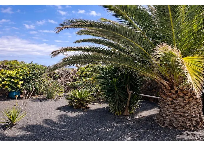 Infinity Exclusive *